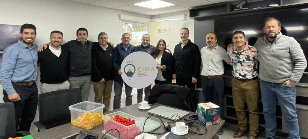 Programa Innovación Organizacional
