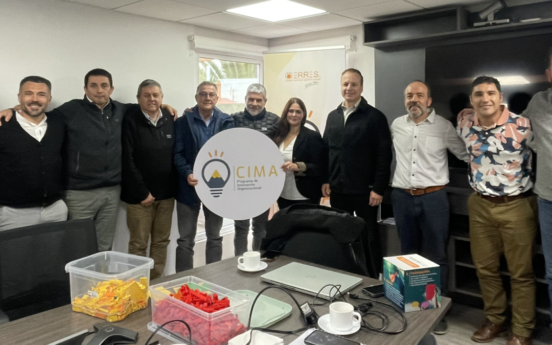 Programa Innovación Organizacional